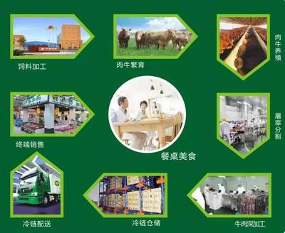 伊賽牛肉丨筑牢全產(chǎn)業(yè)鏈,推動(dòng)中國(guó)品牌走向世界