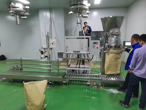 魚飼料自動定量包裝機(jī)10 60公斤廠家生產(chǎn) 價格